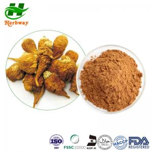Wholesale Bone Health Tongkat Ali Extract Powder Maca Root Extract Powder from china suppliers