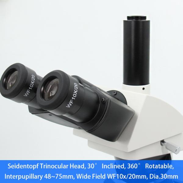 40x - 1000x A12.1010 Binocular Biological Microscope Laboratory Biological Microscope