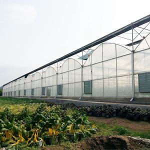 Wholesale Multi Span Film Greenhouse Structure Commercial Frames Large Plants Growing from china suppliers