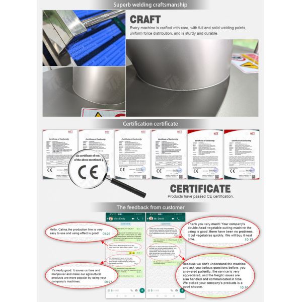 Small desktop slicing and slicing machine commercial household celery stalk vegetables cut into pieces, high yield