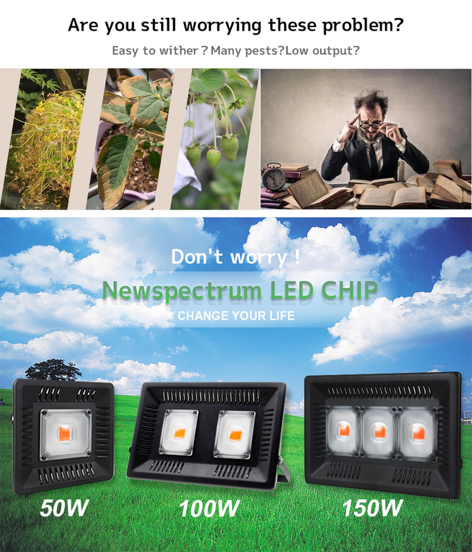 Phytolamp Light Bar Module 50W IP65 Plant Grow Light Voltage 240V