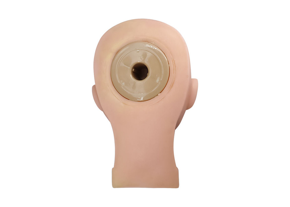 547g Permanent Makeup Practice Skin 3D Soft Silicone Eyebrow Microblading Practice Head
