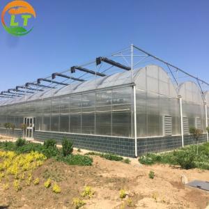 Wholesale PE Strawberry Insulation Agricultural Greenhouses for Plants Growing and Affordable from china suppliers