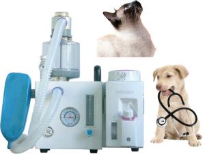 Wholesale DM6D Veterinary Anesthesia Ventilator Small Animal Anesthesia System from china suppliers