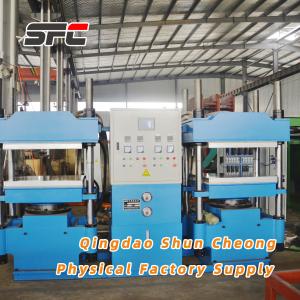 China Rubber Duplex Curing Press with Customizable, Rubber Mat Hidraulic press on sale