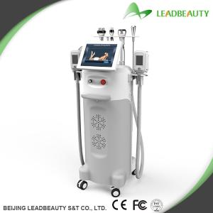 Wholesale High-tech/Professional/ multi-functional cryolipolysis device from china suppliers