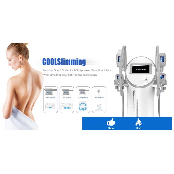 Medical CE TUV Fat Freezing Machine For Home With 4 Handles High Efficiency