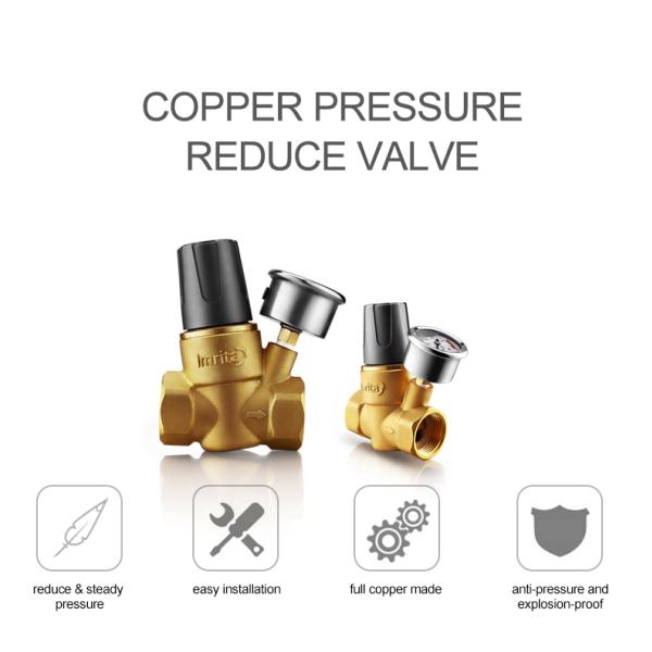 Rustproof Brass 1" Adjusting Pressure Reducing Valve Regulator For House