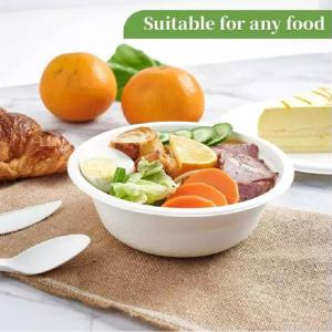 Wholesale Salad Compostable Biodegradable Soup Bowls With Lids Bagasse Fiber 16oz Disposable Bowls from china suppliers