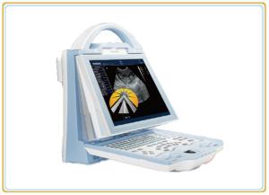 Wholesale High Resolution Portable Ultrasound Machine For Veterinary Animal 256*150*326mm Size from china suppliers