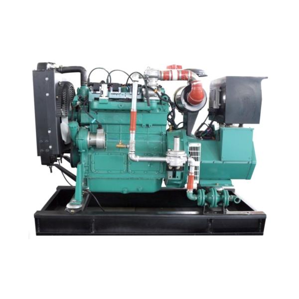 50HZ/60HZ 40KW 50KVA Natural Gas Powered Cummins Generator with Free Energy