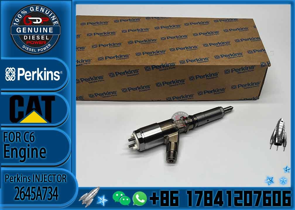 Common Rail Injector 306-9380 Fuel Injector Assembly 320-0680 2645A747 2645A734 For CAT Engine C6.6 C4.4