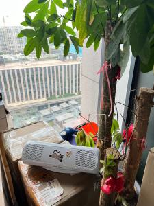 Wholesale Smart Control Air Purifier Optimize Performance for Healthier Home 6600mAh Battery from china suppliers