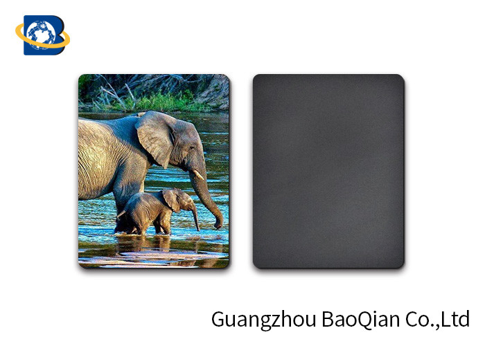 Custom Animal 3D Fridge Lenticular Magnet PET Material Thickness 0.6mm SGS Approval