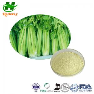 China CAS 520-36-5 Herbal Extract Powder Celery Extract Powder Celery Seed Extract Apigenin 98% on sale