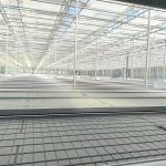 Plant Growing Greenhouse Accessories 4'×8' 4'×10' Ebb And Flow Rolling Bench
