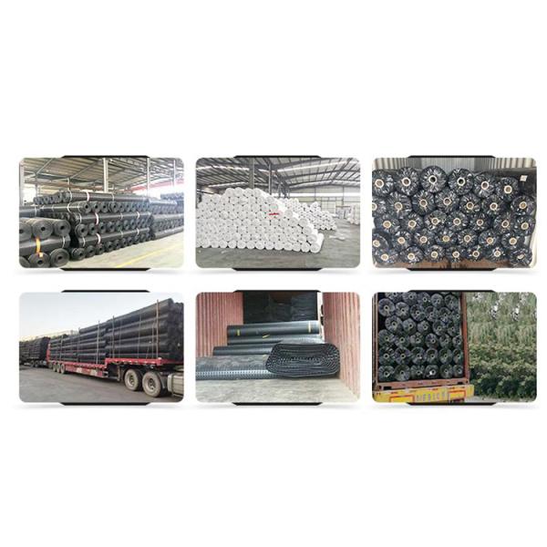 PP Plastic Biaxial Geogrid for Subgrade Stabilization