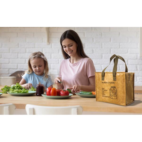 Tyvek Insulated Lunch Bag