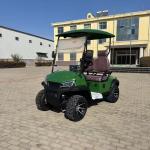 Green Color New Model American Style 60V 2 Seater Mini Golf Cart EUV Electric