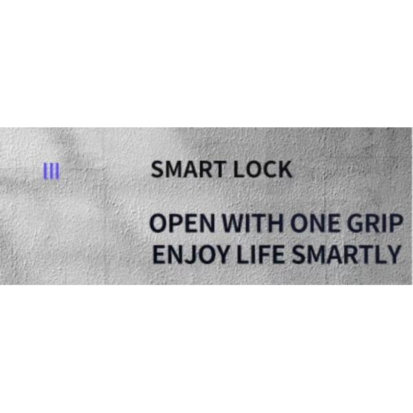 Virtual Password Fingerprint Door Lock Keyless Bluetooth Wifi Biometric Digital For Business