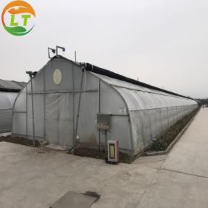 Wholesale Small Blackout Mushroom Growing Greenhouse Designable Length for Agricultural Farming from china suppliers