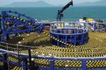 Submarine Cable Armouring PP Twine