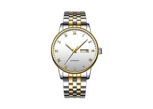 Wholesale Collection Automatic Wrist Watch Japan Movt , Automatic Sapphire Watch 24mm Band Length from china suppliers