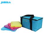 Bpa Free SGS 200ML Reusable Freezer Packs