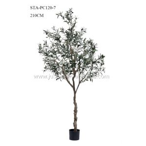 China Non Toxic Faux Potted Olive Tree , Faux Olive Tree In Pot Mediterranean Vibe on sale