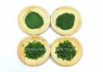 Crispy Aonori Dried Seaweed Variety Low Calorie Green Nori Food Cuisine