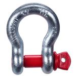 ZINC Finish DIN Standard Carbon Steel/Stainless Steel D-Ring Shackle for Market