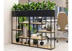 Delicate Balcony Flower Pot Shelf , Plants Metal Garden Shelves Multi Functional