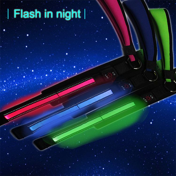 Pet Accessories LED Dog Collar , Night Safety Light Up Flashing LED Pet Dog Leash