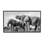 VETO E paper Display Black White Picture Advertising Screen Android 23.5 31.2