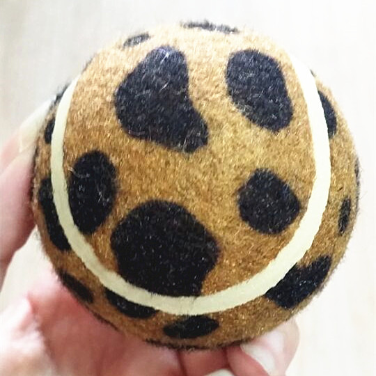 dog toy ball