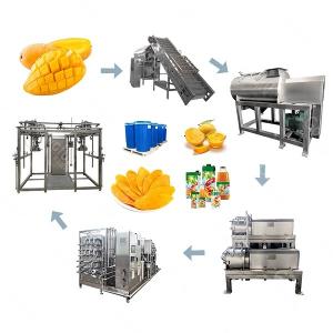 Wholesale SUS304 Industrial Fully Automatic Mango Fruit Flavored Beverage Production Line from china suppliers