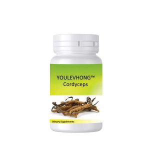 Buy cheap Cordyceps Supplements Healthy Immune Support Promote Normal Vascular Function from wholesalers