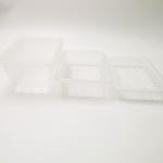 OEM Polypropylene 20*14*5.5cm Disposable Fruit Tray