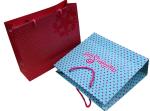 OEM Recyclable Ayilian Pink 210g Artpaper Shopping Bag, Paper Carrier Bags