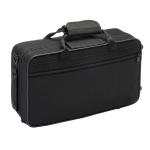 constansa instrumentProfessional Performance Level Ebony Wood Silver Plated 18