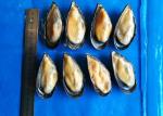 Iso Frozen Cooked Mussel Half Shell Mytilus Edulis Chemical Off