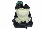 Brass Impeller Automatic Water Pump , Pressure Booster Pump 32L/ Min Flow