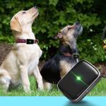 2020 new products indoor home personal chips pet dog collar mini gps tracker