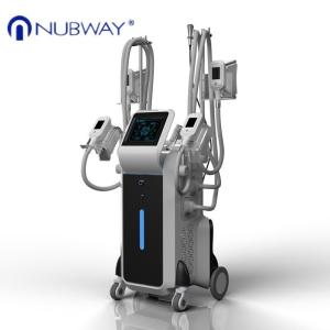 Wholesale 4 handles fat freezing criolipolise cryotherapy slimming cryo lipolysis device for salon from china suppliers