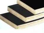 18mm Black Film Faced Construction Plywood