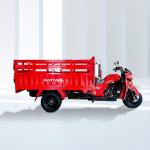 800W DAYANG Heavy Loading Truck Tricycle Three Wheel Cargo Motorized 201 250cc