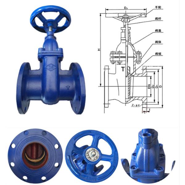 Rubber seated gate valve