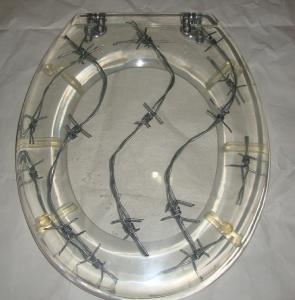 Wholesale poly-resin toilet seat cover,decor toilet seat,tranparent toilet seat from china suppliers