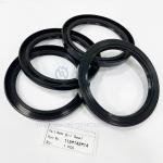 Hydraulic Seals Element Shaft Oil Seal 115x145x14 Grease FKM Rubber FPM Metric