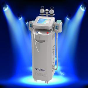 Wholesale Body Shaper Slimming Machine / Fast Slimming Machine / cryolipolysis slimming machine from china suppliers